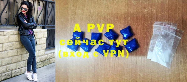 apvp Алексин