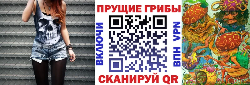 где найти наркотики Биробиджан Галлюциногенные грибы Psilocybine cubensis